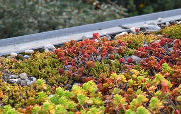the cost of Powers Hall End green roof installation