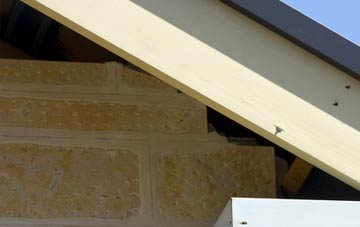soffit repair Powers Hall End